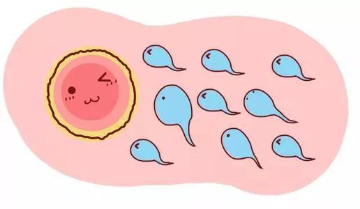 天呐！促卵泡生成素过高还会影响怀孕，多少才是正常？