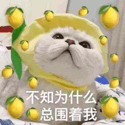 娱乐圈里最有少年感的女生,娱乐圈谁最有少女感