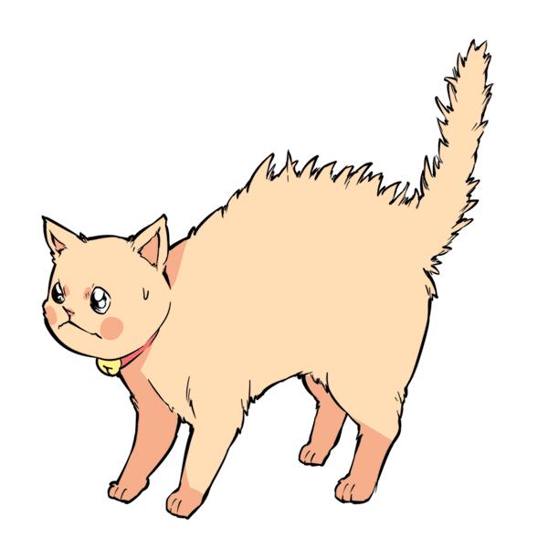 猫咪尾巴竖起来是什么意思,猫咪尾巴各种姿态含义