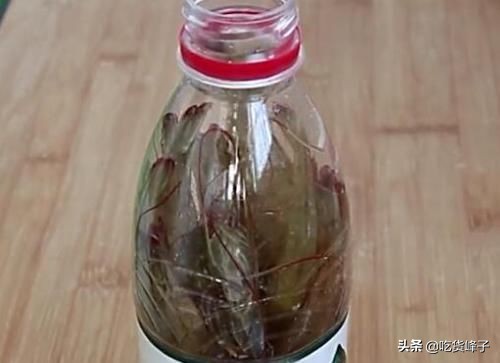 大虾怎么保存不会直接放冰箱,大虾保鲜别直接放冰箱了