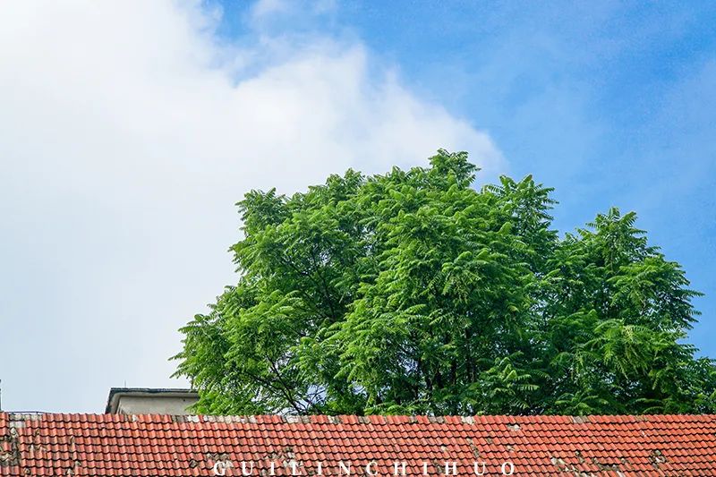 灵川县商贸城,灵川县县城商贸城