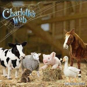 关于夏洛特的电影,夏洛特的网国语电影完整版