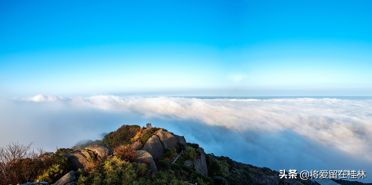 一路向北到桂林自驾游,一路向北柳州紫荆花