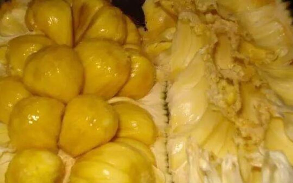 真的是活久见！长成这样居然能吃？