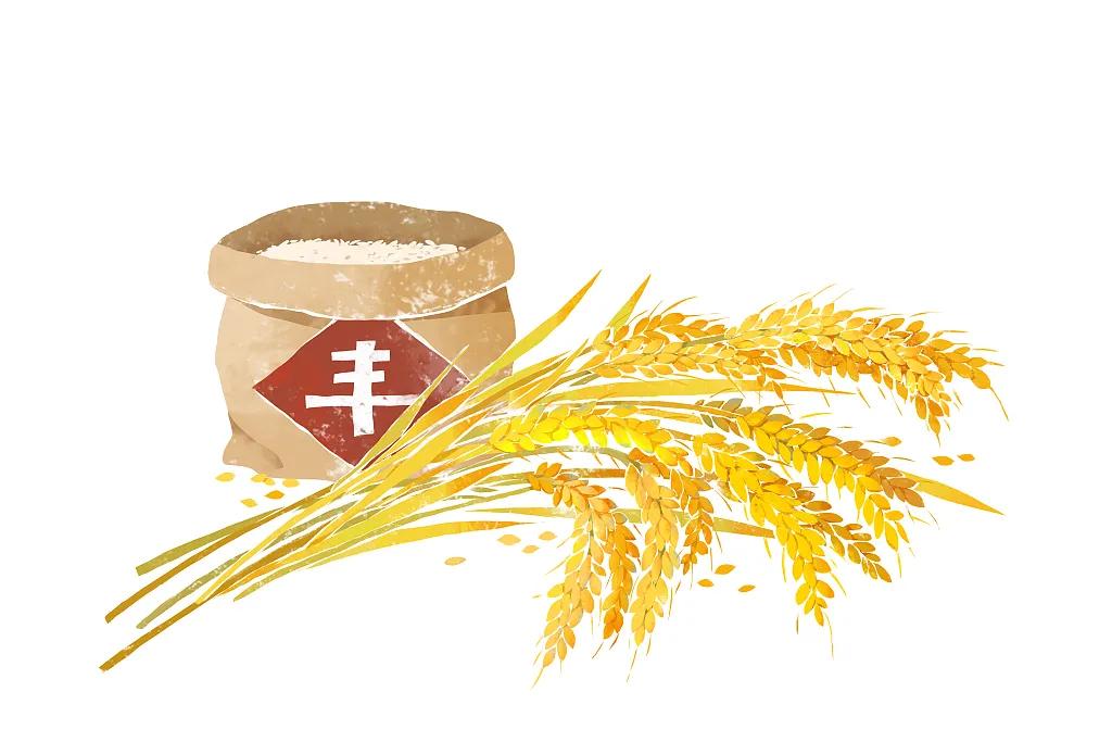 雨水丨如雨如水，温柔坚定