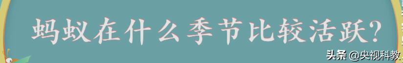科学除四害视频,科学除掉蚂蚁