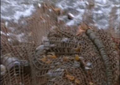 富二代晒骨皮包的残忍真相,人骨皮包的真相