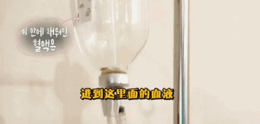 花三万换血15次,一周两次换血净化血液垃圾