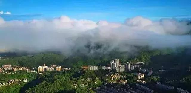 海南失去房地产的114天,海南房地产停建了吗