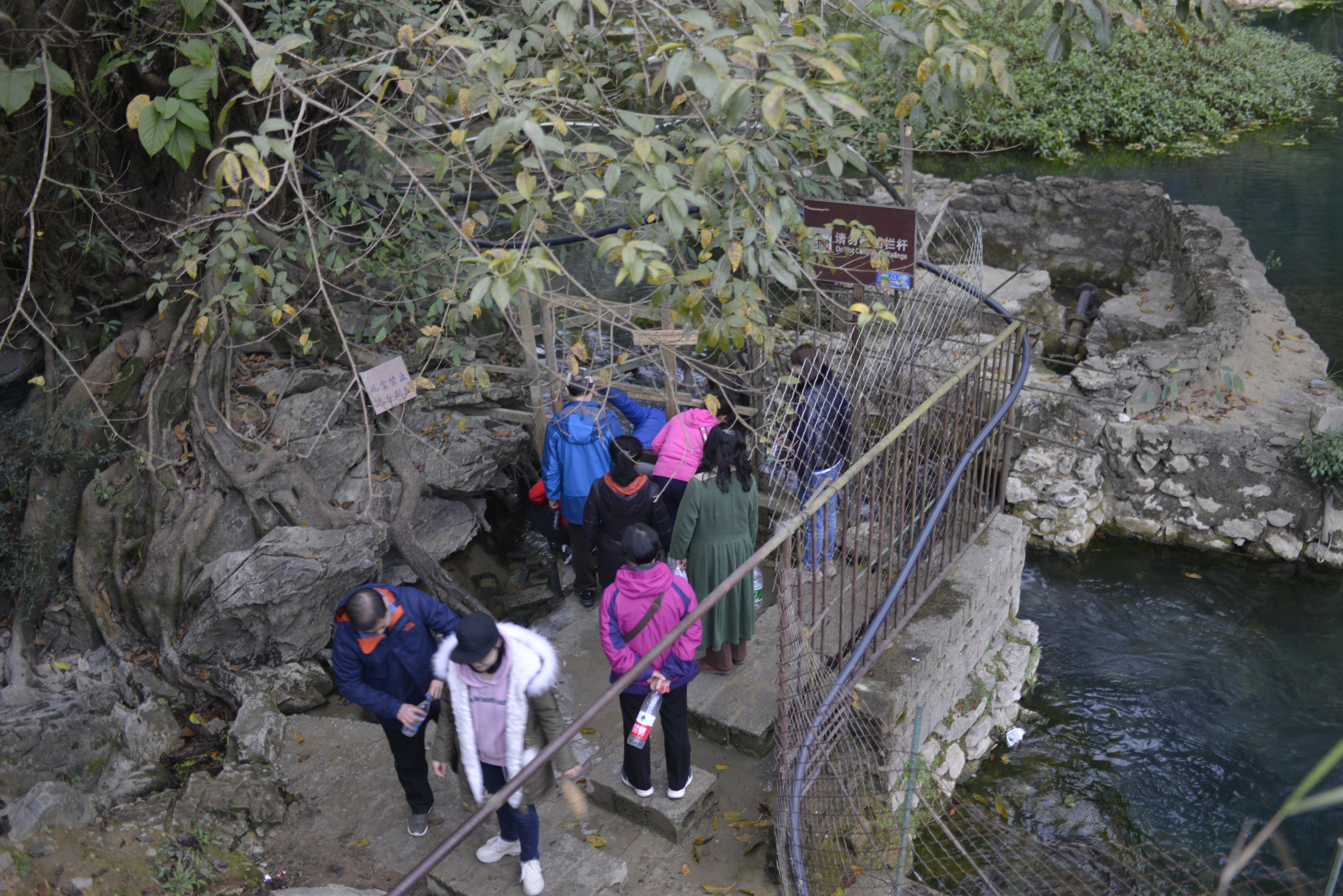 巴马长寿老人有什么说法,广西巴马长寿的真实原因