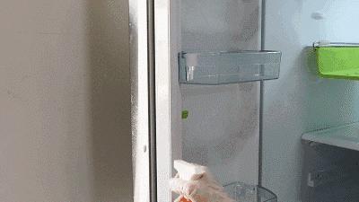 电冰箱的除霜与保鲜,冰箱正确使用姿势不结霜还省电