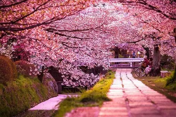 日式风格室内门,日式风格的室内门