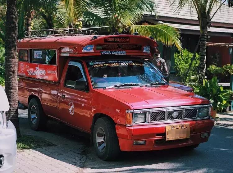 泰国|这回,我可要喷你了