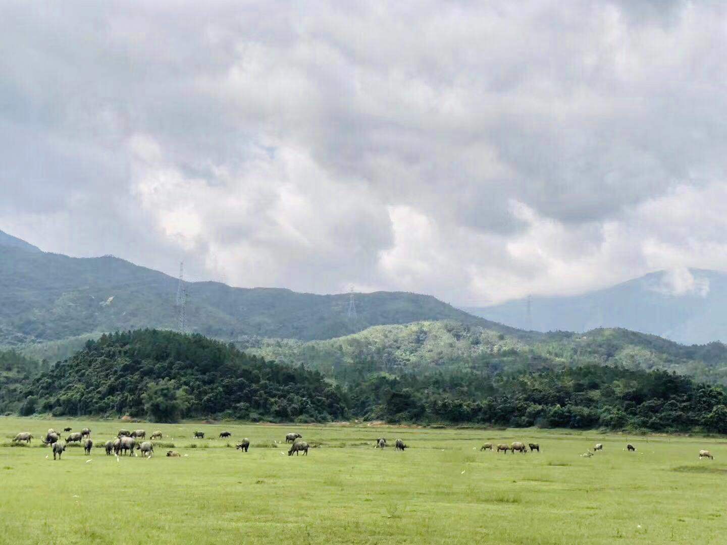 深圳周边郊外森林自驾游路线,深圳自驾一日游海边露营景点推荐