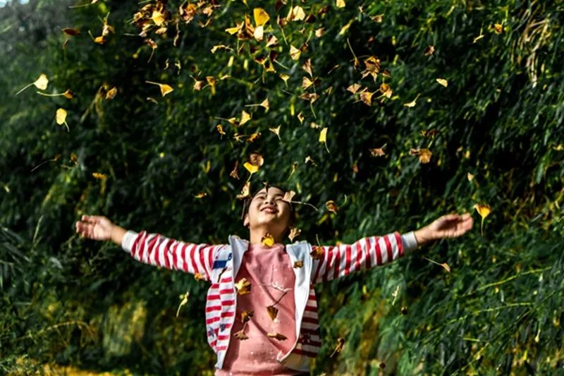 金黄色警报,黄色警报镜头