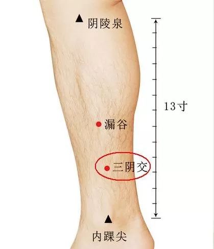 妇科病的万能穴，女性朋友学习下！