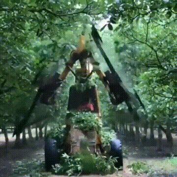 搞笑gif段子又能混饭吃了,搞笑段子gif保证你笑破肚皮