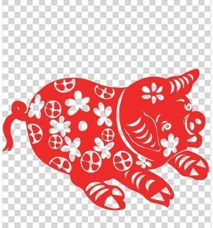 从丁亥到己亥—武昌水果湖中学六六届高三（1）班同学聚会本命年