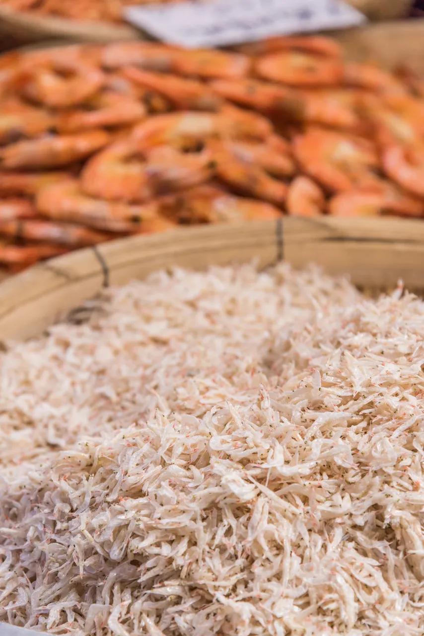 大连是座浪漫的城市,大连这座城市真的好美