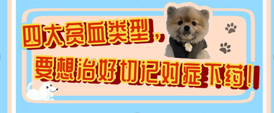 四大血液病,四种贫血的诊断依据