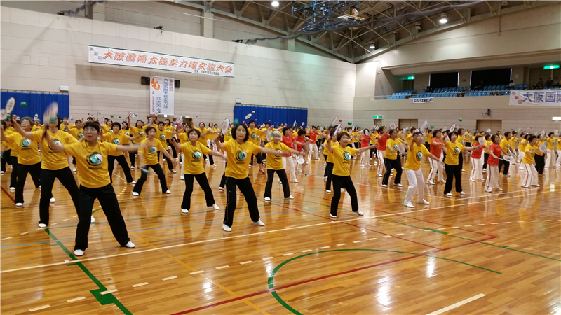 此球饱含太极元素，2000万人在玩，网友：什么球？如此神秘