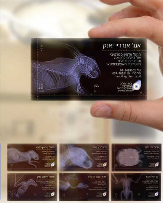 个人100种名片设计图,名片设计说明200字