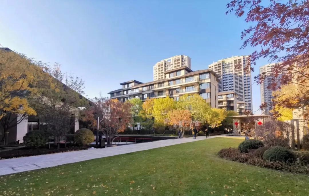 【钱紧买错楼盘?真的不如不买】