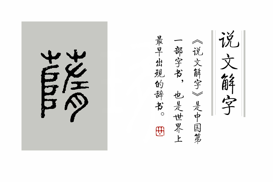 说文解字第0019集,说文解字第143课全集