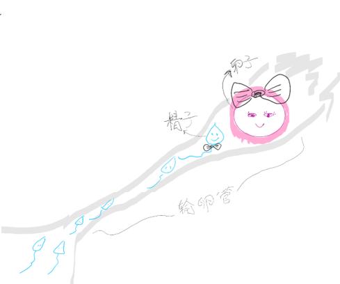 隔壁老王两口为啥那么容易怀孕？