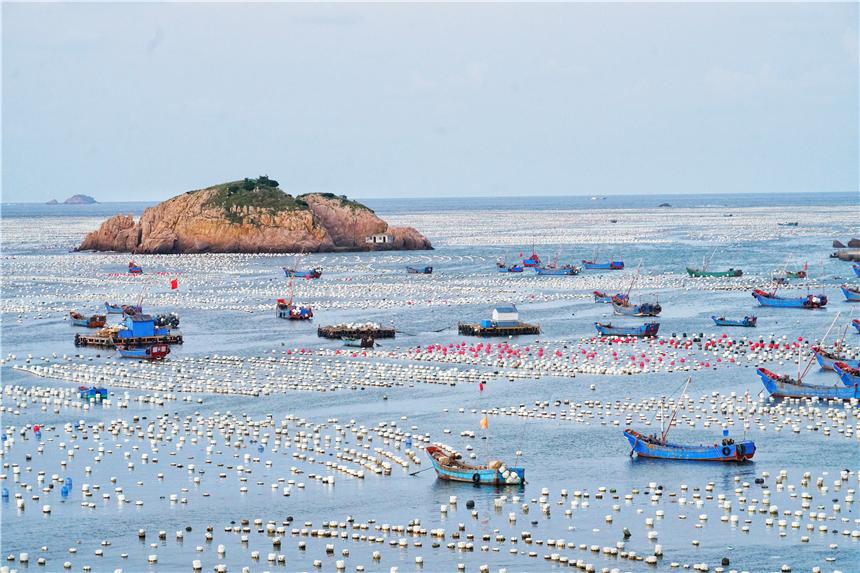 嵊泗美食推荐攻略,嵊泗列岛旅游攻略美食