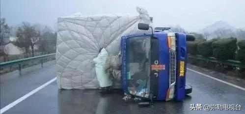 一棵被保护的百年古树,一棵百年的古树被雷击