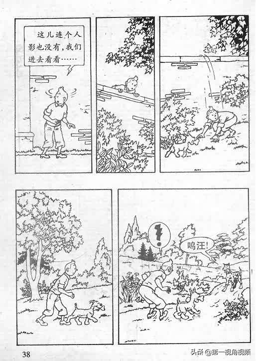 丁丁历险记刚果完整版,丁丁历险记西藏