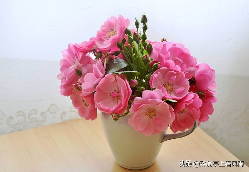 知己是一种心灵的陪伴,知己感动到哭的视频