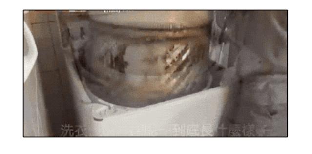 热水器水流出有虫子怎么办,饮水机水管里有小白虫