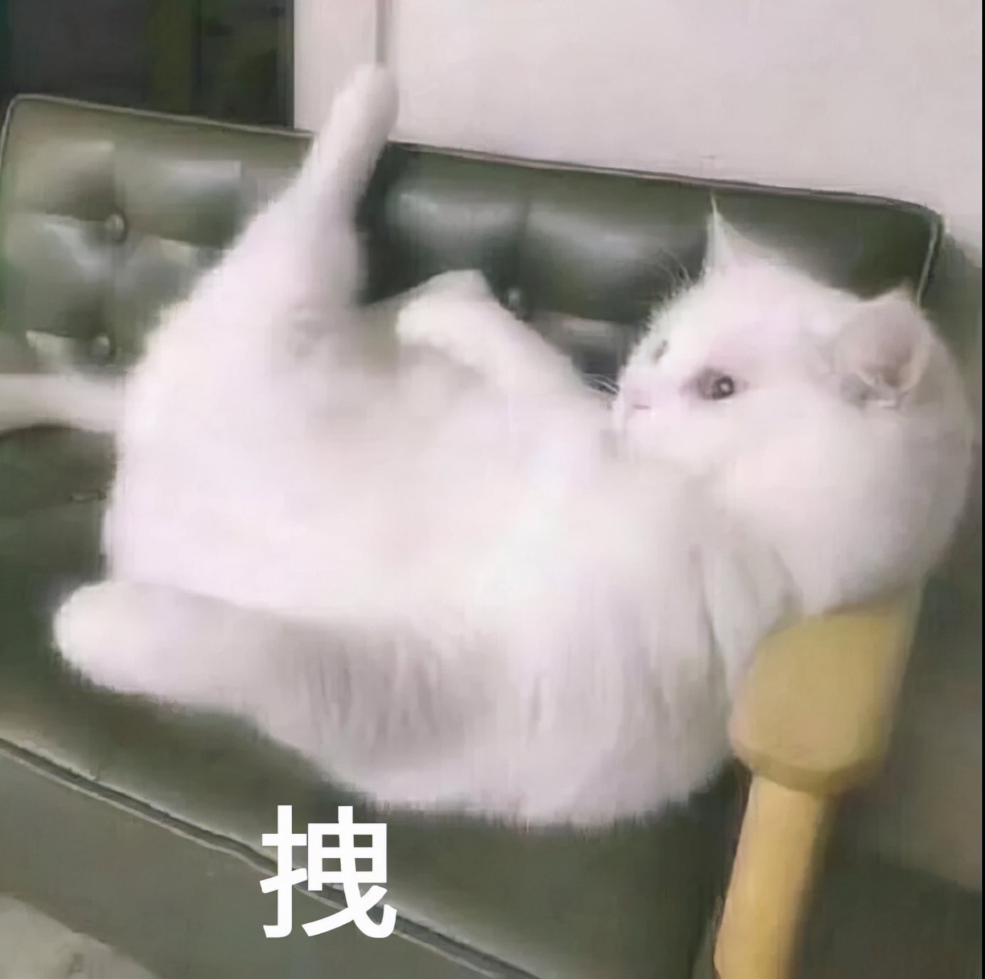 秋季护肤淡斑,秋季护肤养生重点