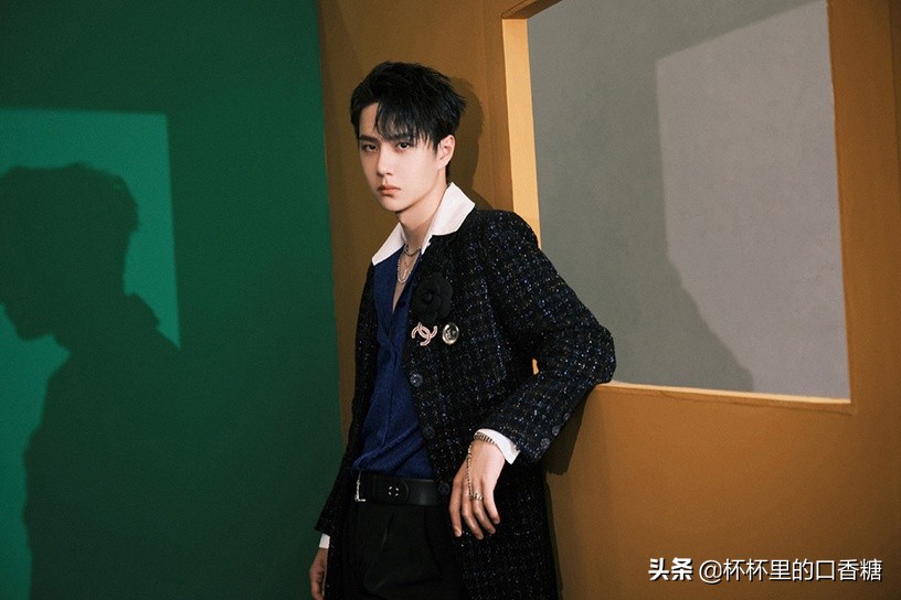 十大明星评价王一博,抖音公认十大帅哥王一博