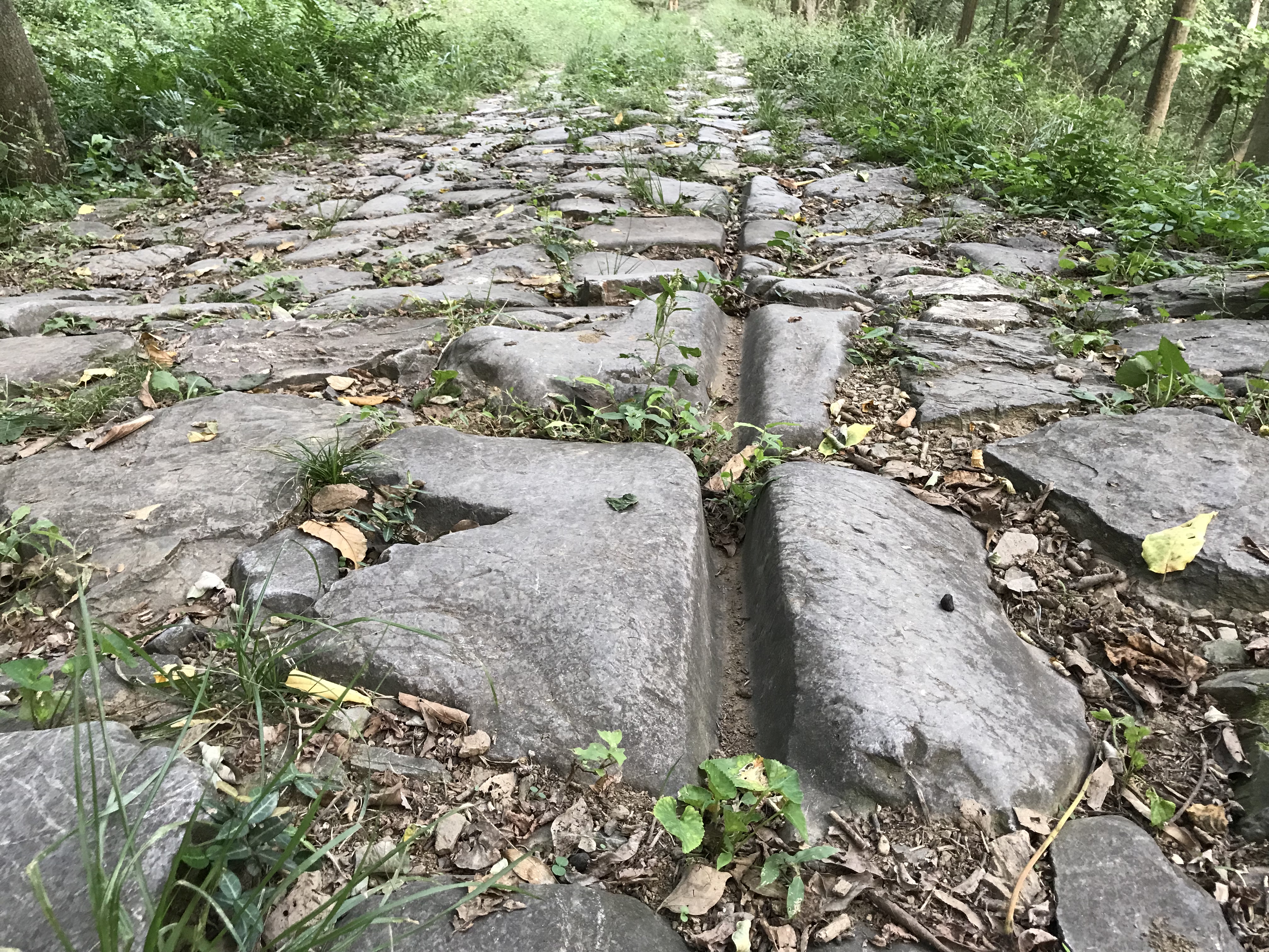 滁州除了琅琊山还有哪里好玩,安徽滁州琅琊区好玩的