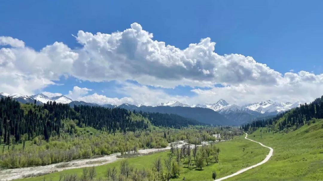 可以靠颜值偏要靠技术,能靠颜值偏靠实力