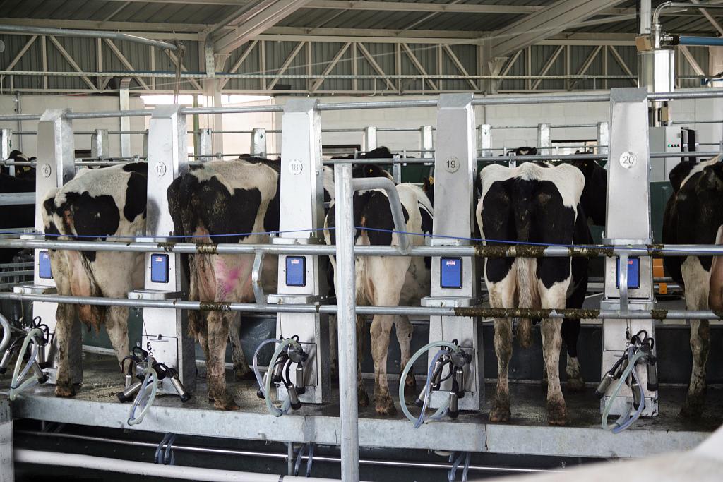 澳洲a2二段奶源,澳洲奶粉奶源是哪里