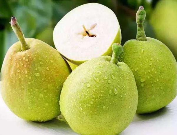 比熊上火有泪痕,比熊上火用什么眼药水