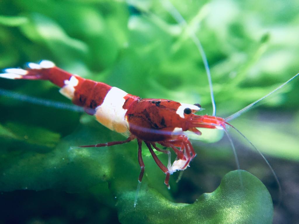 过滤的方法和注意事项,老生常谈的说说