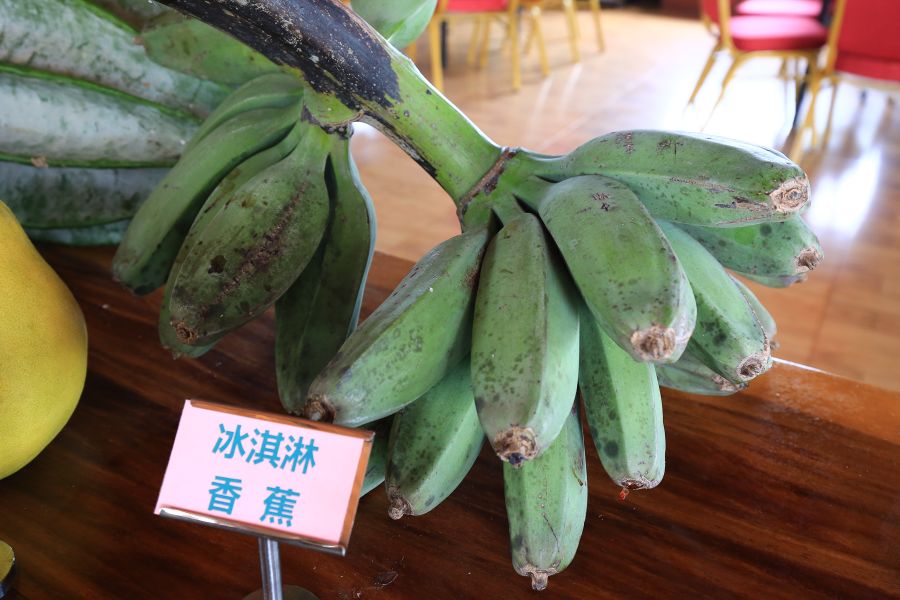 海南黄金百香果纯甜无酸,冰淇淋果图片和营养价值