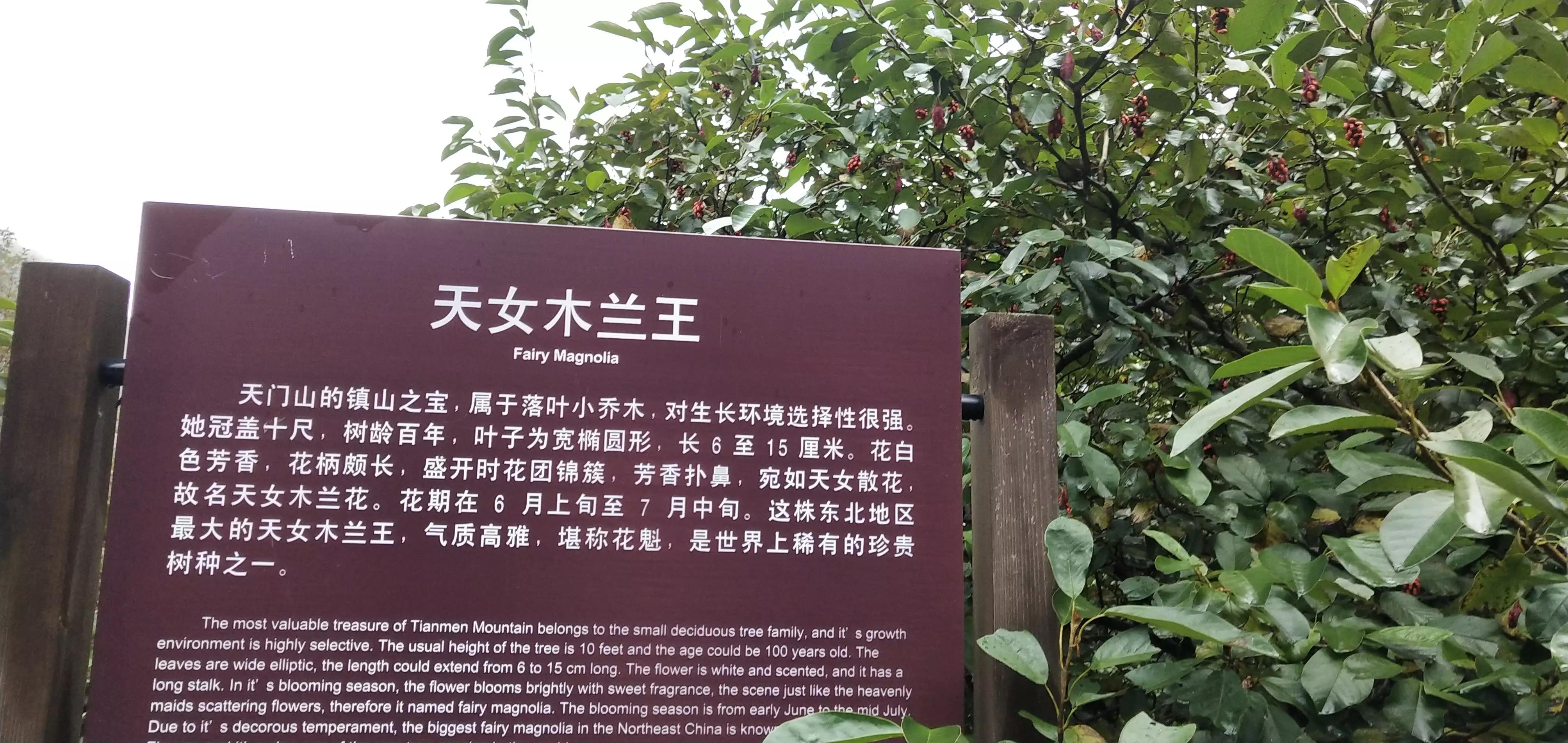 庄河天门山国家森林公园,庄河天门山冰雪大世界