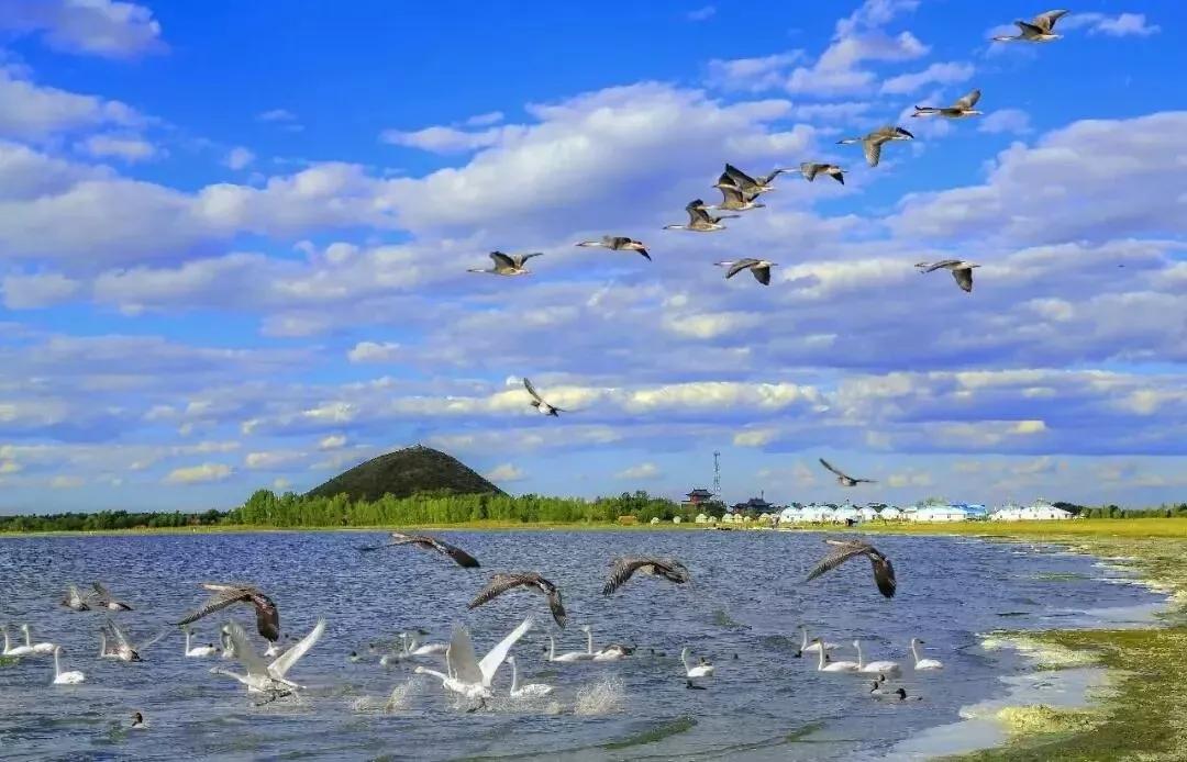 敖包相会的地方背面完整版,敖包相会的地方在通辽