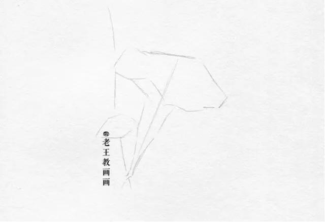 小白学习素描需要准备什么,小白学素描入门教程