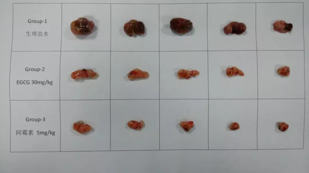 青少年科创大赛得奖,青少年科创大赛又一获奖作品