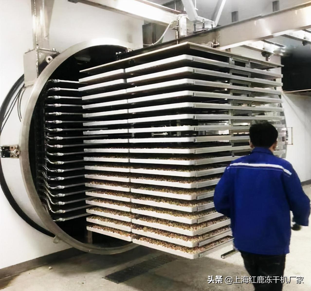 自制宠物冻干鸡肉怎么做的,鸡肉冻干的制作方法狗狗