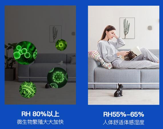 房间潮湿问题,生活妙招房间如何防潮湿