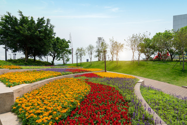 深圳海边最好的公园,深圳有几个靠海的公园