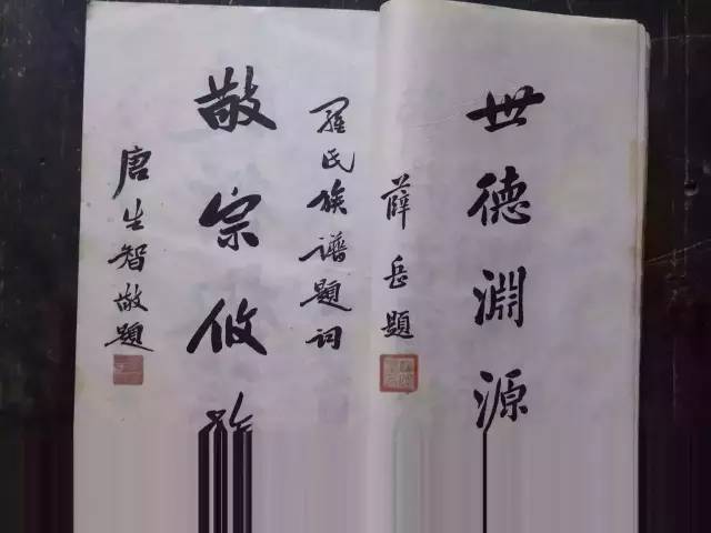 如何看懂家谱的基本知识,家谱常识讲解高清